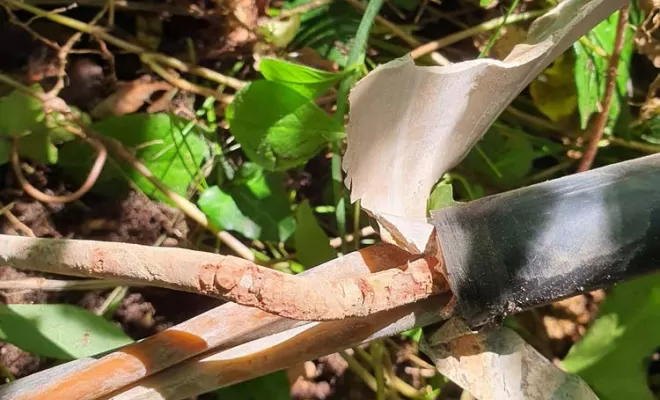 Depannage éléctrique, Mont-de-Marsan, Chris Elec